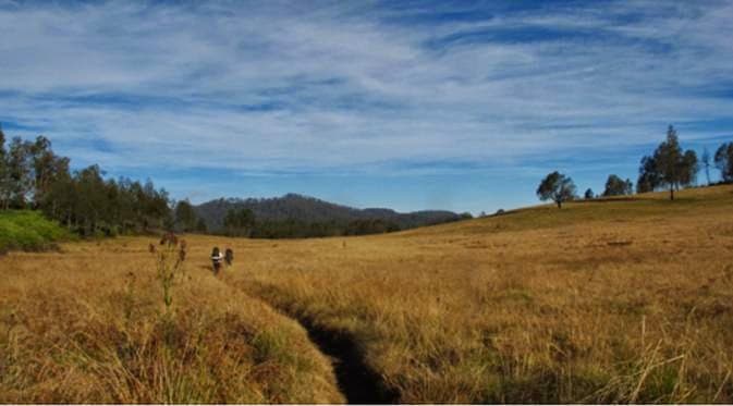 Gunung Argopuro: Anugerah Keindahan Alam Indonesia